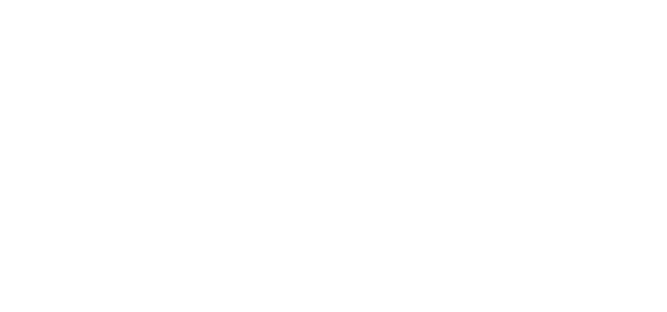 facepass